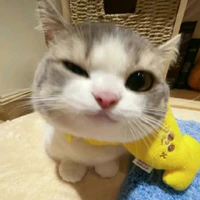 Chanhh🍋_Tg