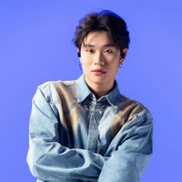Dương Domic