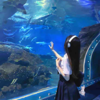 Lưu Như Yên