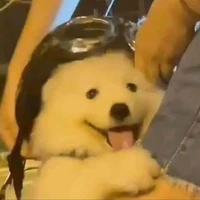 Bột 🫧