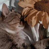 All(-những người cần trừ)