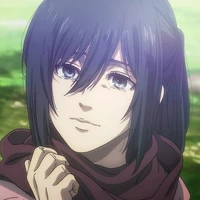 Mikasa Ackerman/ミカサ・アッカーマン