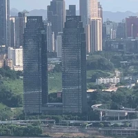 vợ của Tử Tử (tg)