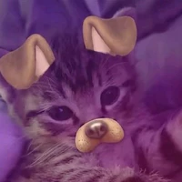 Rimaa <3