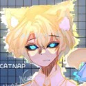Hiha Anti Catnap