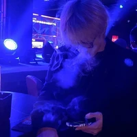 doãn hoàng phong-bangwen