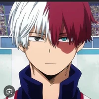 todoroki shoto
