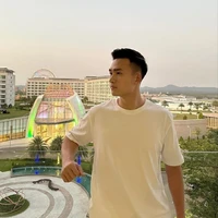 Việt Anh