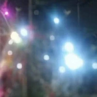 Mọi Người