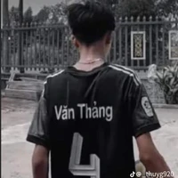 văn thảng