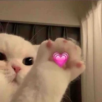 Nhỏ nào đây!?