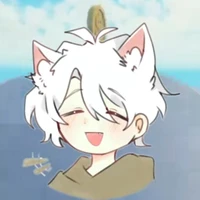 funny cat