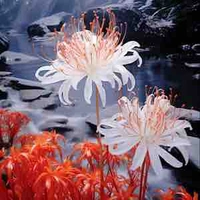 All trừ người cần trừ