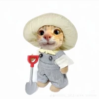 TXuaan