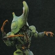 WORM ấu trùng