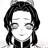 kochou shinobu🦋
