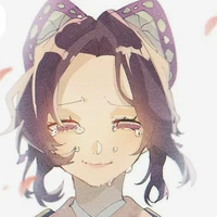 kochou shinobu🦋