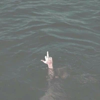 các công có mặt