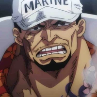Sakazuki ( Akainu )