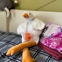 Vịt🦆( tgia )