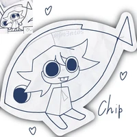 Chip