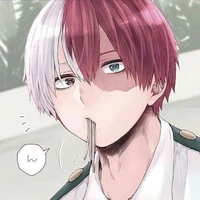 Todoroki Shoto