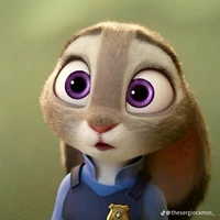 judy  hoop