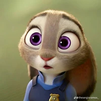 judy  hoop