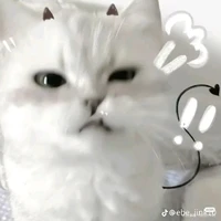 T/G