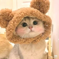 linnie(tg mê cà ri)