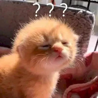 cả đám nữ