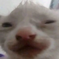 Mèow