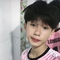 Lê bảo long