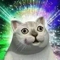 meomeo