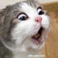 Trừ những ai cần trừ
