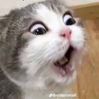 Trừ những ai cần trừ
