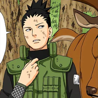 Shikamaru