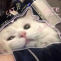 Tác Giả Meow Meow