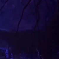 Diễn viên quần chúng