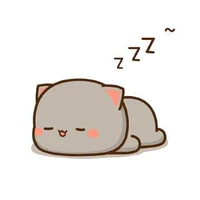 các cậu