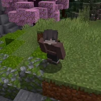 BearSeeTinh