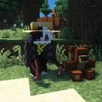 K3N