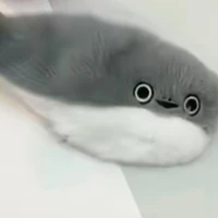 tôiiiii