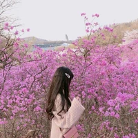 Tư Vũ Khánh Ngân