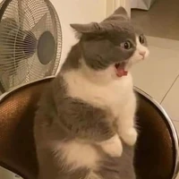 TÁC GIẢ ĐÊY ^^