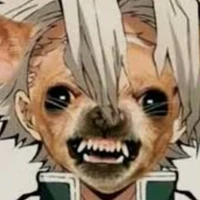 sanemi (chihuahua)