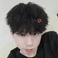 Phonix ( hữu đạt)