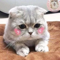 hệ thống (Jan Jan)