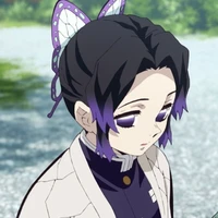 🦋Shinobu🦋