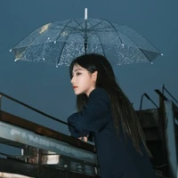 Viên Nhất Kỳ